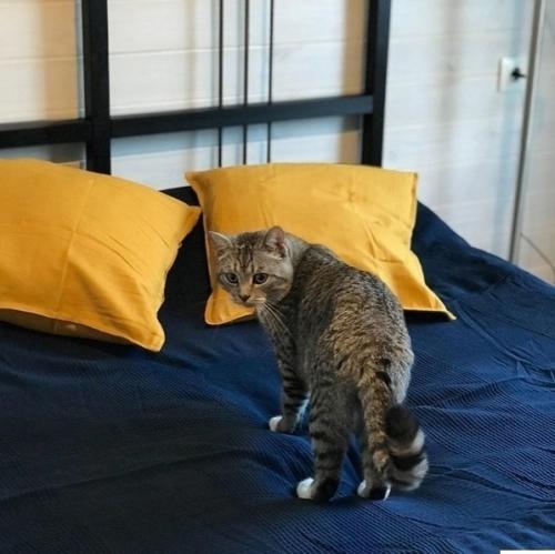 Вот такую спальню мы у себя в доме устроили. 04