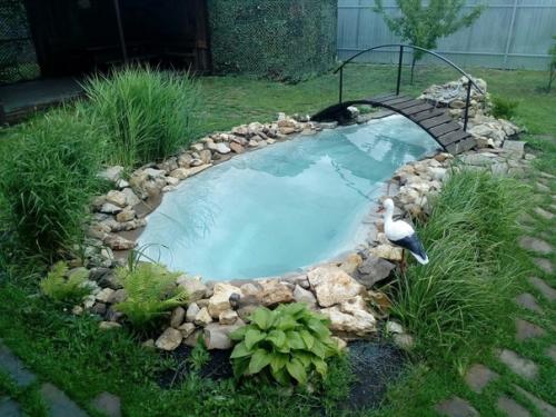 Хочу показать вам наш декоративный прудик на участке. 03