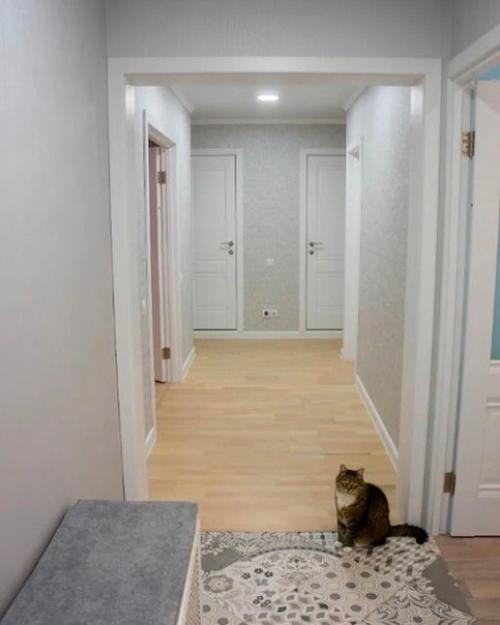 Какой был ремонт в нашей прихожей комнате, и какой стал. 01