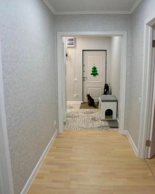 Какой был ремонт в нашей прихожей комнате, и какой стал. 02