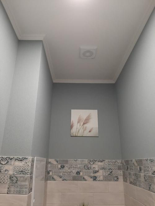 Оформление моего туалета. 01