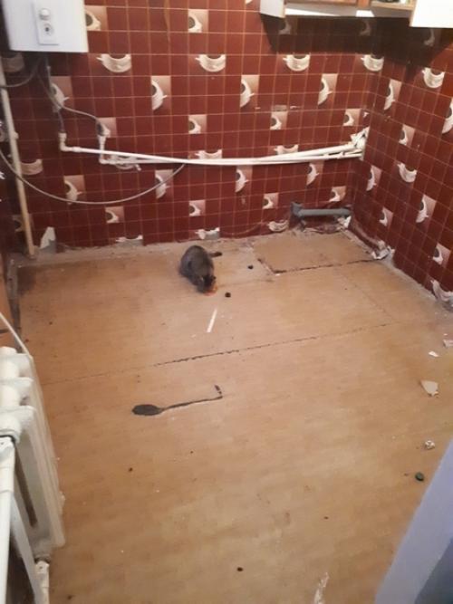 Простая, но функциональная кухня. 02