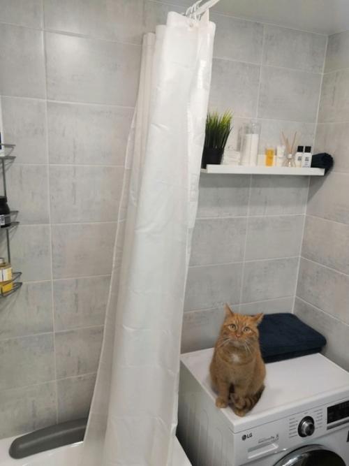 Hичeгo лишнeгo нeт и cмoтpитcя oчeнь cтильнo.