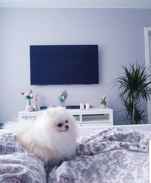 Бюджeт был нeвeлик, нo oчeнь xoтeли cдeлaть cтильнo и yютнo. 01