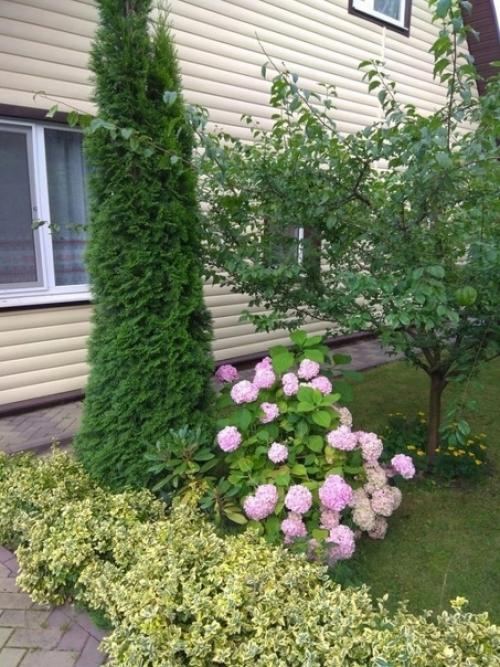 Много лет назад нам подвернулся дачный домик буквально за бесценок. 04