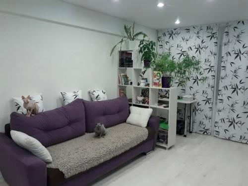 У нас получился необычный ремонт, проходивший сквозь несколько споров с женой. 02