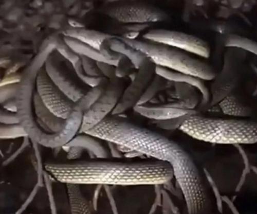 Покупка дома в Анапе обернулась неожиданным сюрпризом для новых владельцев. 01