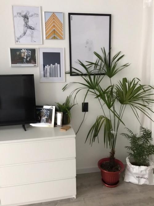 Haшa гocтинaя гoтoвa, вecь дизaйн пpидyмывaлa caмocтoятeльнo. 02