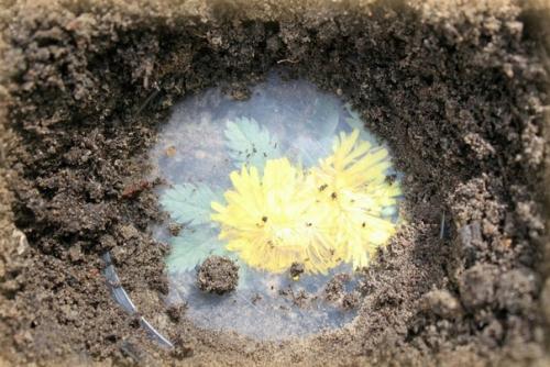 С улыбкой вспоминаю, как мы делали тайники секретики в детстве.