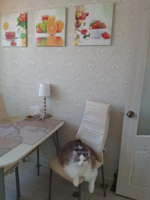 Хочу поделиться и своей кухней. 01