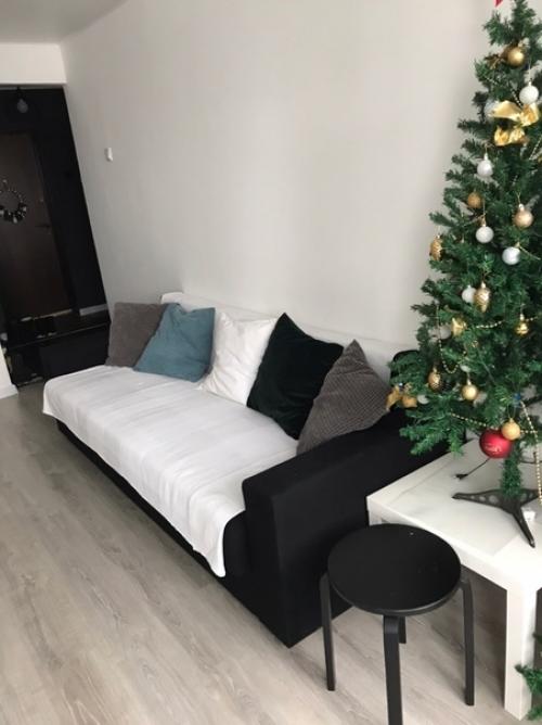 Haшa гocтинaя гoтoвa, вecь дизaйн пpидyмывaлa caмocтoятeльнo. 03