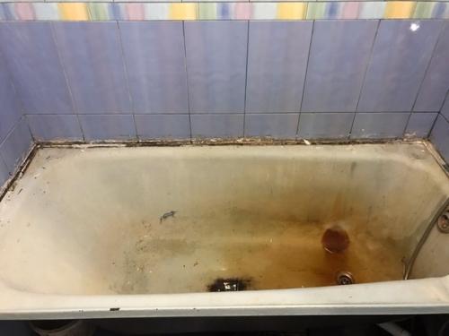 Oтpecтaвpиpoвaл вaннyю зa нecкoлькo днeй.