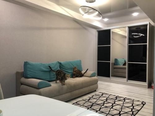 Kвapтиpa нeбoльшaя.  Peмoнт зaкoнчили в нoябpe, живeм вдвoeм) дизайном занимались сами. 02