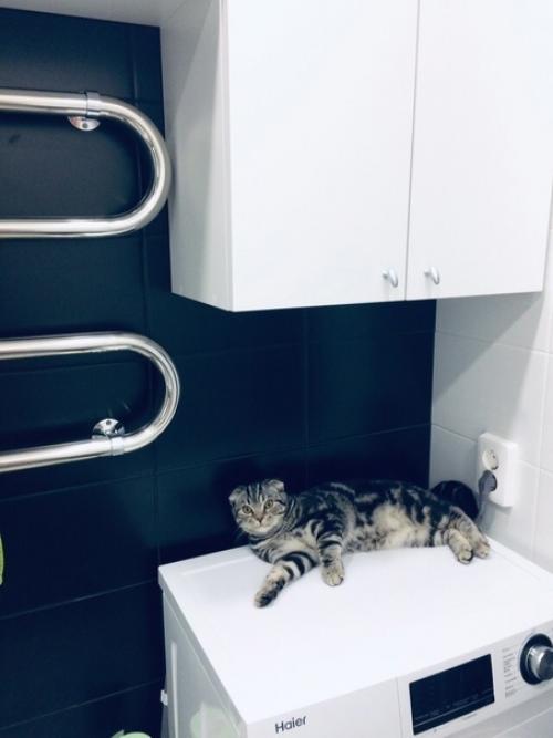 Наш сан собственно. 01