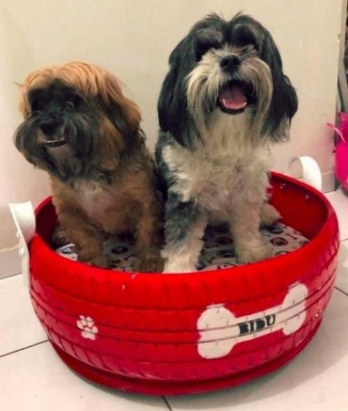 Этот молодой человек в свободное от работы время занимается помощью для приютов для животных. 02