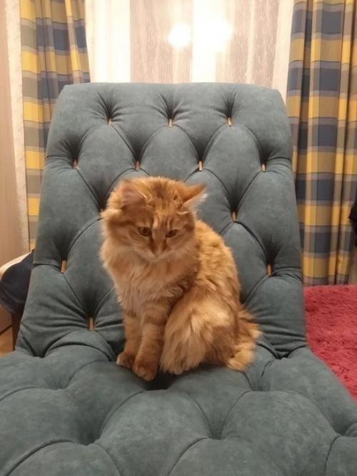 Увидели в интернете ролик, как делали такой шезлонг и мы взяли, и повторили. 05