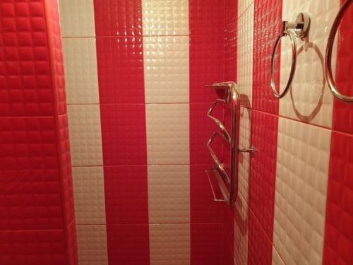 Как оказалось, мой выбор красного цвета для отделки ванной вызвал недоумение у многих моих знакомых.