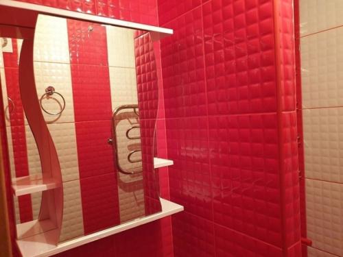 Как оказалось, мой выбор красного цвета для отделки ванной вызвал недоумение у многих моих знакомых. 04