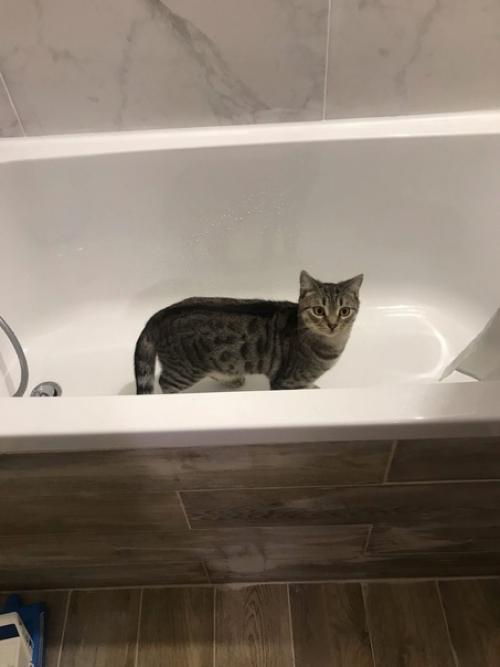 Мы приобрели тут квартиру в стареньком доме хрущевской серии. 03