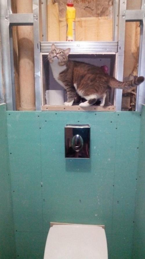 Вот так мы приводили в порядок туалет в нашем стареньком доме за городом. 03