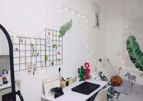 В таком вот плачевном состоянии нам досталась комната в общаге после выпускников. 03