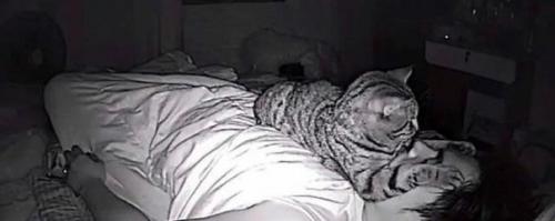 Мужчина долго не мог понять, почему ему так тяжело во сне дышать. 03