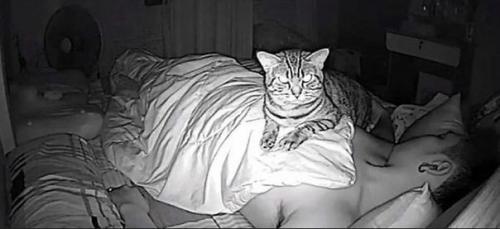 Мужчина долго не мог понять, почему ему так тяжело во сне дышать. 02