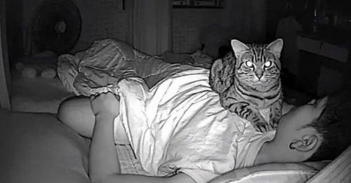 Мужчина долго не мог понять, почему ему так тяжело во сне дышать. 01