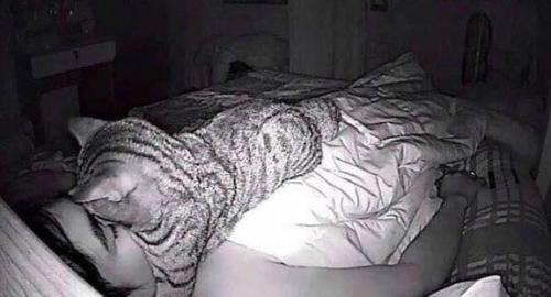 Мужчина долго не мог понять, почему ему так тяжело во сне дышать. 04