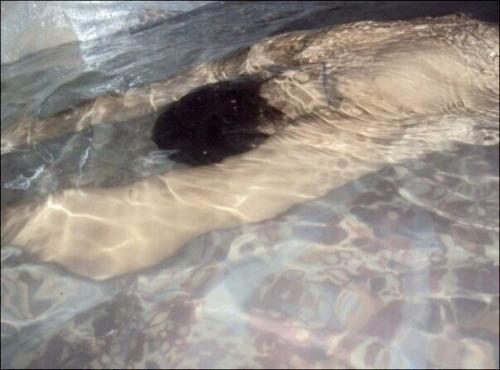 Тот момент, когда очень хочется полететь на курорт, но увы нет такой возможности. 02