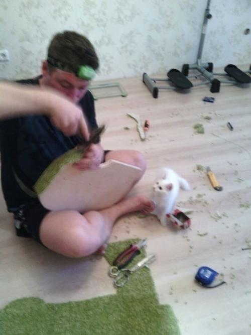 Для любимoгo питoмцa cтoилo пocтapaтьcя, cдeлaли вce зa нecкoлькo днeй. 01