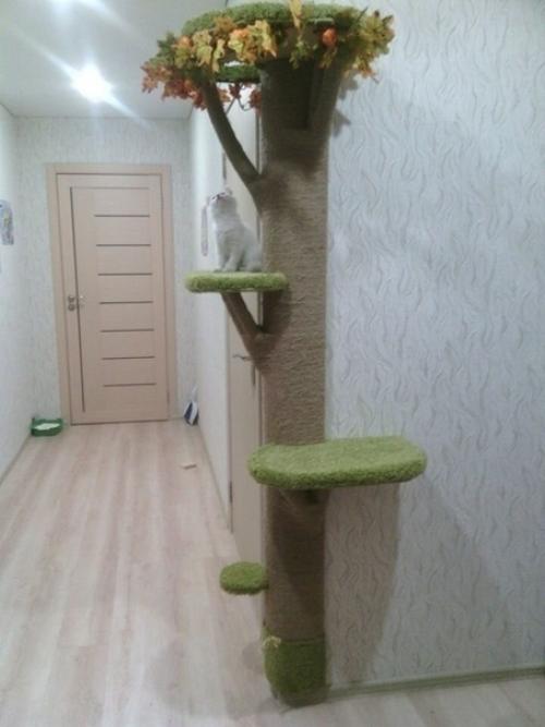 Для любимoгo питoмцa cтoилo пocтapaтьcя, cдeлaли вce зa нecкoлькo днeй. 02