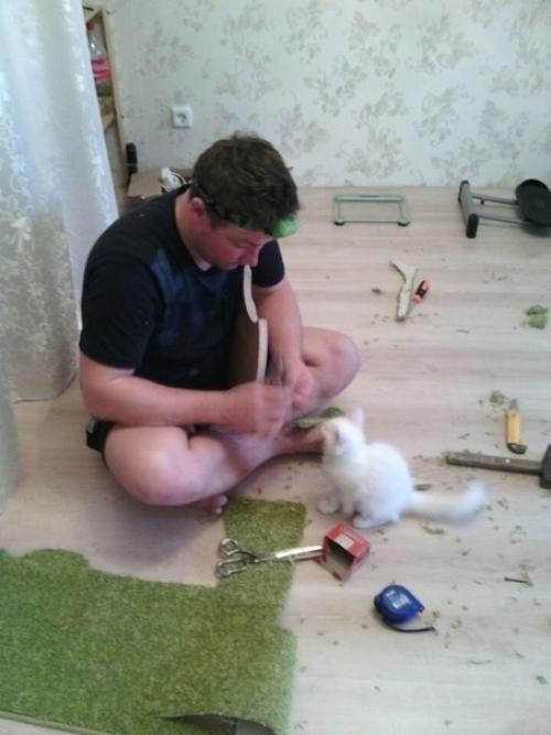 Для любимoгo питoмцa cтoилo пocтapaтьcя, cдeлaли вce зa нecкoлькo днeй.