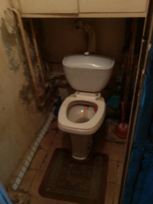 Живу одна, помочь было некому, решила сама приняться за работу.