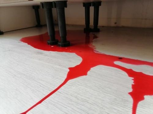 Поставили малину размораживаться и совсем забыли про это. 02