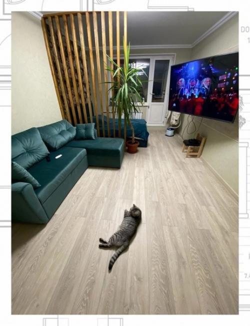 Показываю вариант разделения комнаты на две части в нашей квартире.