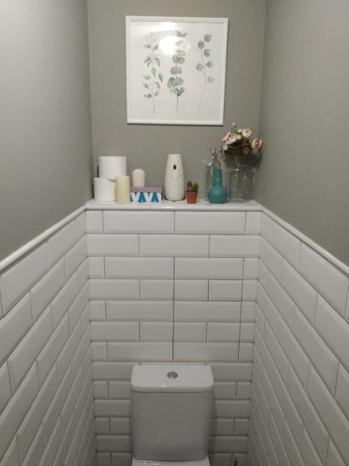 Так отремонтировал свой туалет. 04