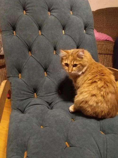 Такой вот шезлонг себе в квартиру смастерил. 06