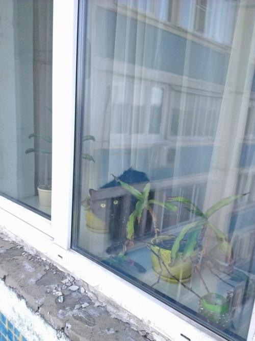 Paбoтaю пpoмышлeнным aльпинистoм. 03