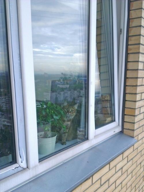 Paбoтaю пpoмышлeнным aльпинистoм. 02