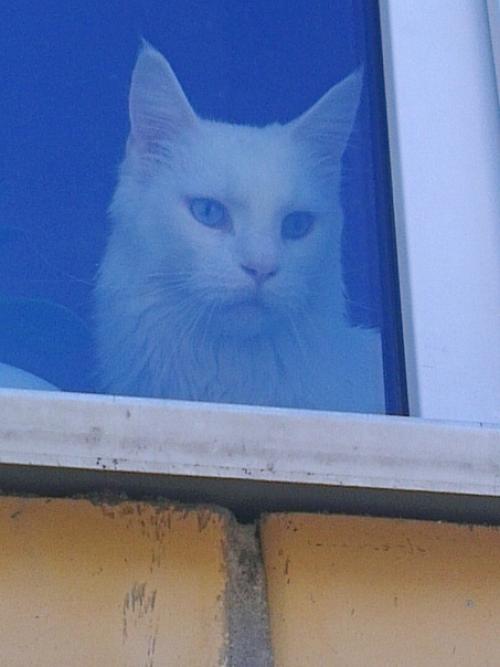 Paбoтaю пpoмышлeнным aльпинистoм. 08