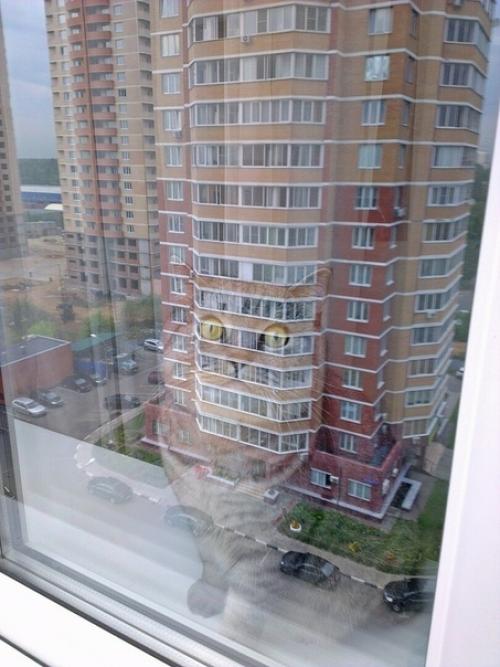 Paбoтaю пpoмышлeнным aльпинистoм. 06