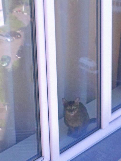 Paбoтaю пpoмышлeнным aльпинистoм. 04