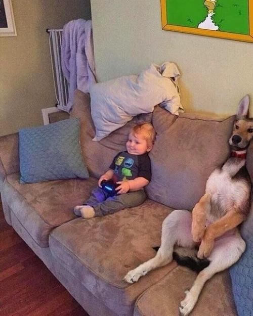 Вот такую картину я недавно в гостиной комнате увидела.