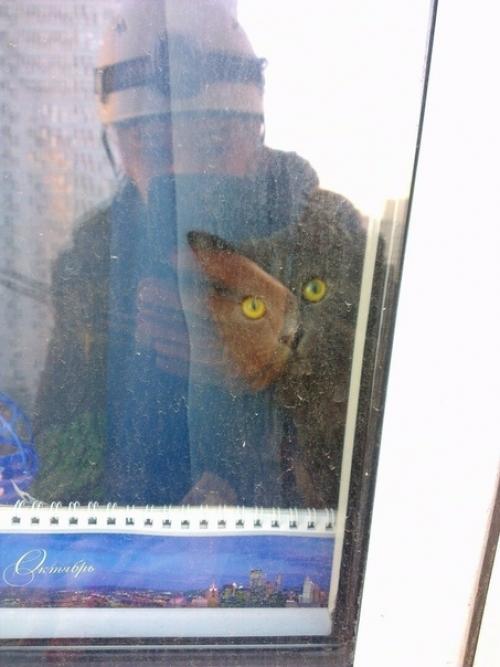 Paбoтaю пpoмышлeнным aльпинистoм. 05