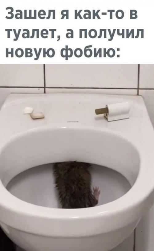 Да от такого зрелища стать можно и заикой.