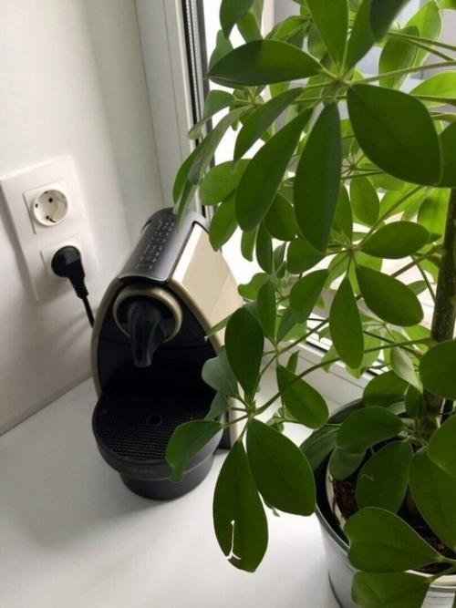 Наша однушка.  Ремонт продумывали до мелочей, реализовывала бригада. 01