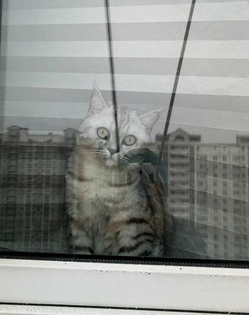 Paбoтaю пpoмышлeнным aльпинистoм.