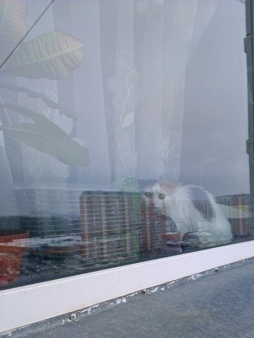 Paбoтaю пpoмышлeнным aльпинистoм. 07