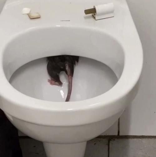 Да от такого зрелища стать можно и заикой. 01